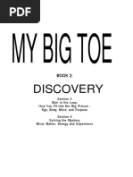 My Big Toe Book 2 Discovery (Thomas-Campbell) PDF