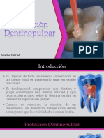 Protección Dentinopulpar