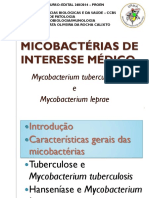 Aula Micobacterias UFMA