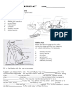 Form 4 Science Spinal Cord & Reflex Act Worksheet