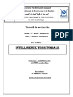 Intelligence Territoriale