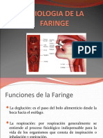 Fisiologia de La Faringe