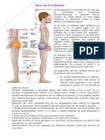 Los Cambios Físicos en La Pubertad