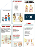 Triptico Del Sistea Endocirno