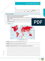 Ficha Trabalho1