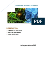 Modelo Electrico Del Sistema Nervioso