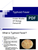 Typhoid Fever: Kirsten Mueller AP Biology Period 4/5