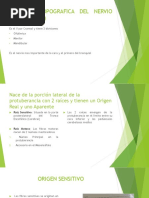 Anatomia Topografica Del Nervio Trigemino (V)