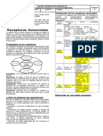 Guia de Receptores Sensoriales 1