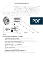 Protein Synthesis Worksheet PART A. Read The Following