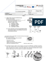 Teste Módulo B2