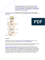 Endocrine Glands Are Glands of The