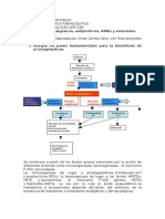 Taller Aines Resuelto