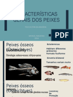 Características Gerais Dos Peixes Aula 01