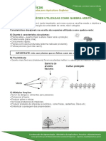 3 Escolha Das Especies Utilizadas Como Quebra Vento