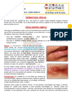 Dermatosis Viricas 5G