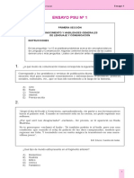 Ensayo 1 PDF