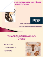 Aula - Assistência de Enfermagem Aos Cancer Colo - Maris 2017 Parte 1