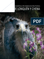 Informe Chena-Lonquen