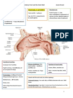 Upper Nasal Cavity and Chest Wall