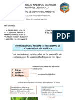 Exposicion de Fitorremediacion