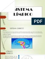 Neuroanatomia