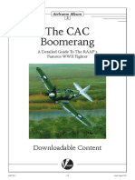 CAC-13 Boomerang Model