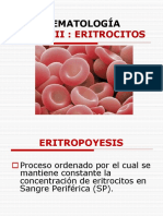 Tema III Eritrocitos