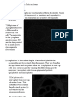 Plastids and Genome Interactions 1. Types of Plastids