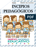 14 Principios Pedagogicos David Betan