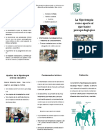 Triptico de Hipoterapia Okey PDF