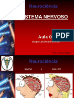 Revisao Neuroanatomia e Neurofisiologia Aula 02