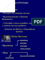 1 - Aula Neurofisiologia e Potencial de Repouso - Parte 1