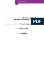 Prepa en Línea SEP. SánchezRodríguez Petronila M01S1AI1