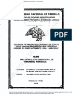 Estudio de Factibilidad Produccion de Palto Variedad Hass PDF