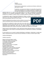 Cambios en La Pubertad y Adolescencia