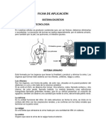 Ficha de Aplicación