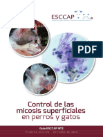 Dermatologia Perros