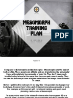 Mesomorph Training Plan