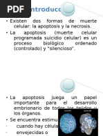 Apoptosis