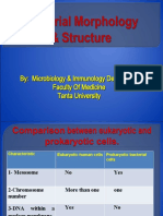 By: Microbiology & Immunology Department Faculty of Medicine Tanta University