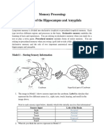 Amygdala and Hippocampus