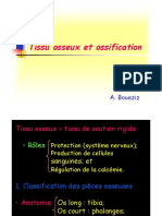 Tissu Osseux Et Ossification