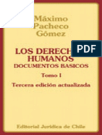 Derechos Humanos Documentos Basicos Maximo Pacheco