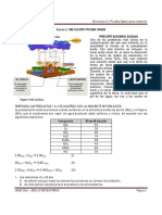 Simulacro 2. Con Respuestas PDF