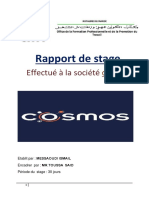 Rapport de Stage Effectué À La Société Cosmos