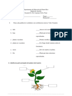 Examen Plantas Sexto Grado