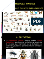 Entomologia Forense 2017