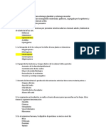 Documento