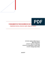 Fundamentos Fisicoquímicos de Flotación